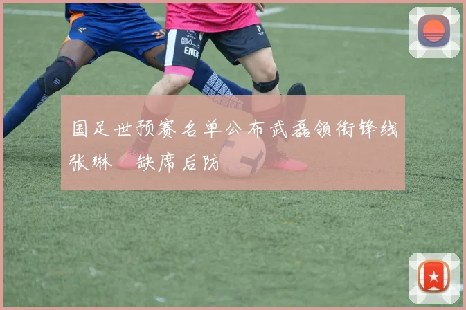 国足世预赛名单公布武磊领衔锋线张琳芃缺席后防