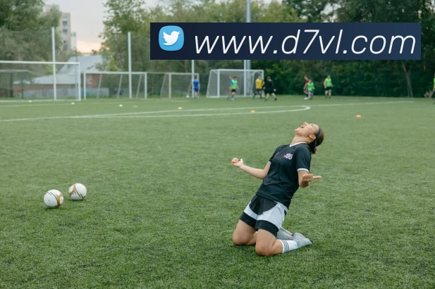 平台展示图