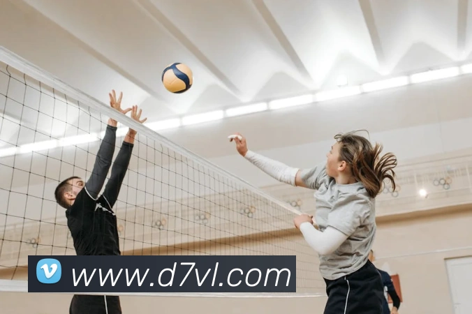 多媒体互动体验